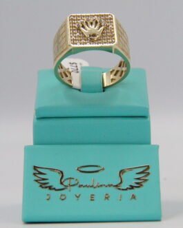 Anillo de Hombre 10k-9g