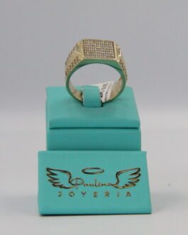 Anillo de Hombre 10k-8g